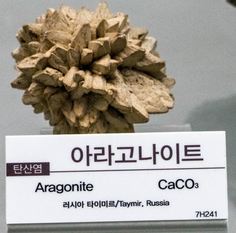 아라고나이트/탄산염