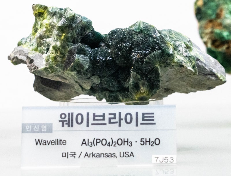 웨이브라이트/인산염