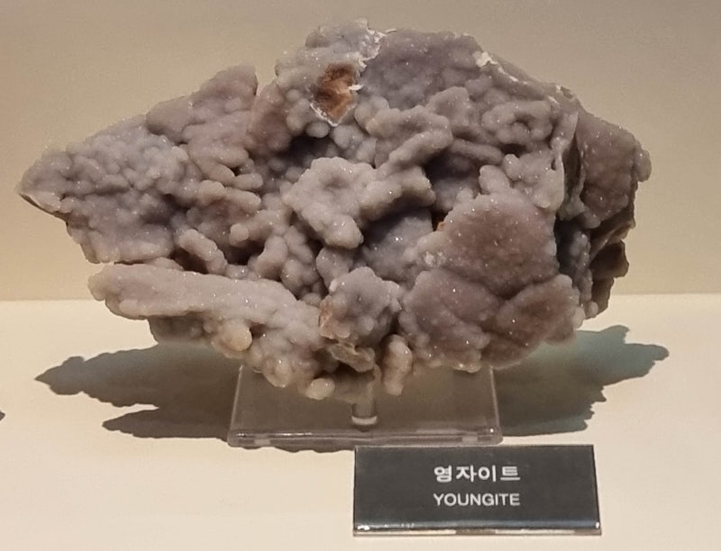 영자이트