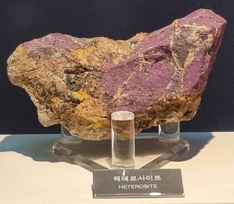 헤테로사이트