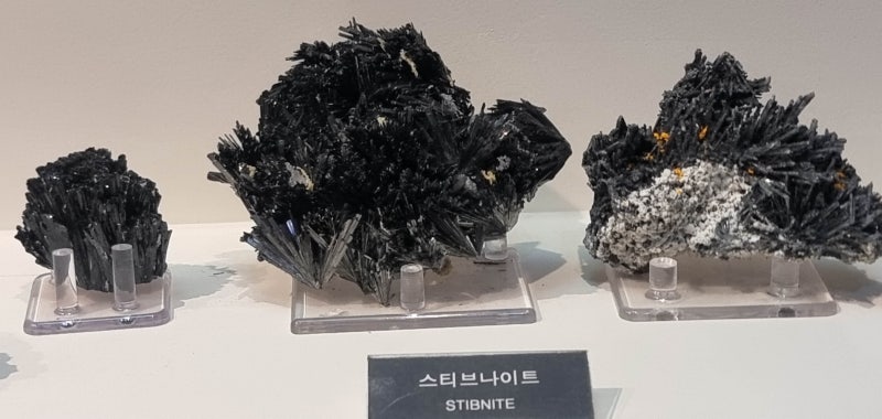 스티브나이트