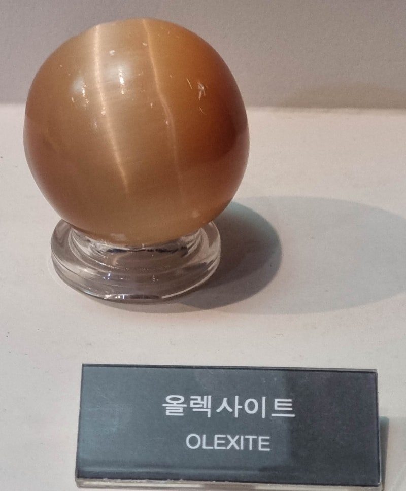 올렉사이트