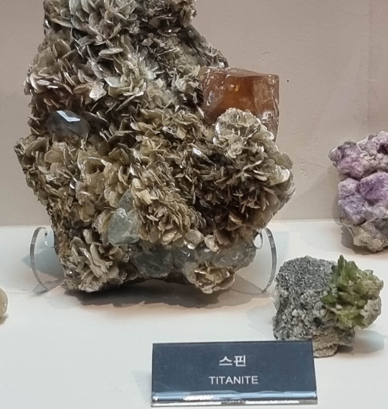 스핀
