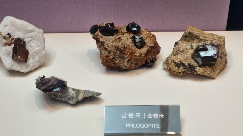 금운모 (金雲母)