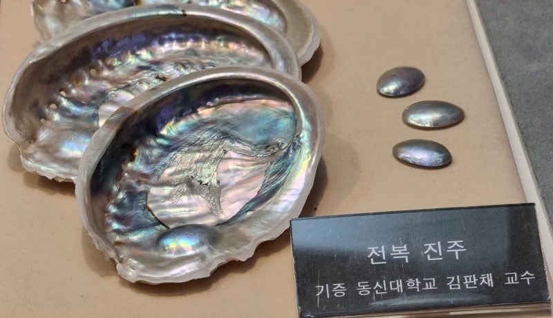 진주(眞珠)