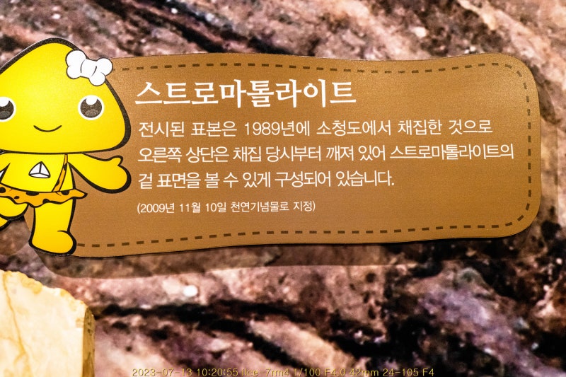 스트로마톨라이트(대전중앙과학관)
