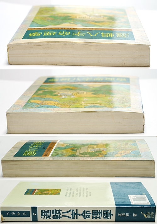 [할인][무릉] 라집팔자명리학